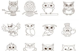 15 Owl Coloring Pages Collection for Endless Inspiration