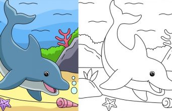 Add Color to These 15 Best Dolphin Colouring Pages! Free to Print!