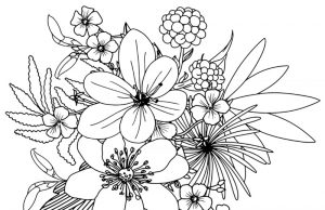 Flower Coloring Pages: 15 Beautiful Floral Patterns