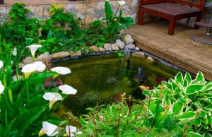 15 Beautiful Backyard Pool Ideas Available In 2025