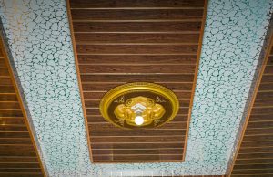 15+ Latest PVC Ceiling Designs With Pictures In India 2025