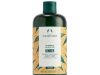 6 Best Anti-Fungal Shampoos for Scalp Infections 2025